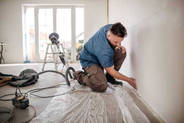 Professional Dry wall and painting in Sachse, TX